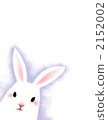 一隻兔子 2152002