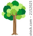 一棵樹 2152025