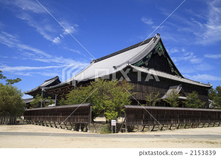 國寶·Takadanomyama Senjuji Maidou和Kisarado 2153839