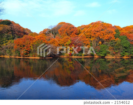 Mukoro pond autumn 2154012