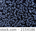 crystal, crystalization, ice crystal 2154186