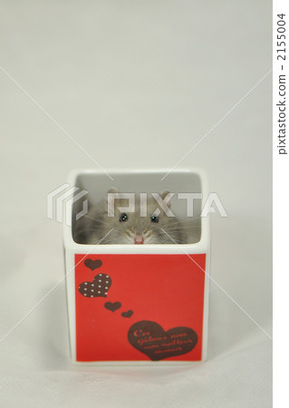 hamster, djungarian hamster, facade 2155004