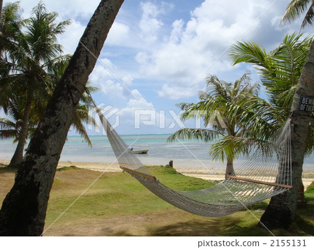 hammock, saipan, landscape 2155131