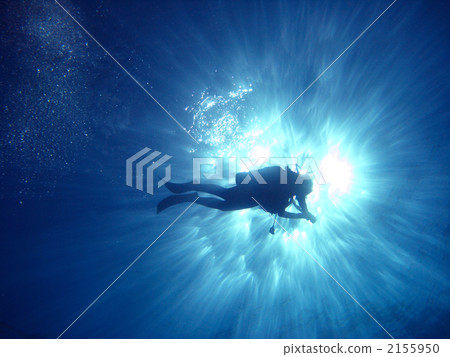 Diver in the light Diver in the light 2155950