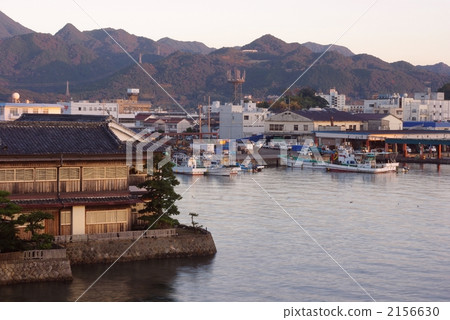 Early morning Katsuura fishing port 2156630