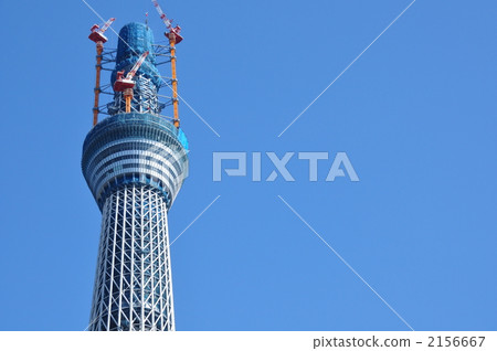 Sky tree  2156667