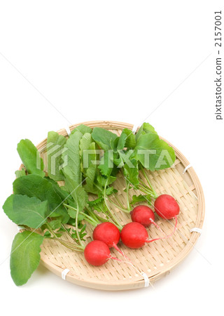 蘿蔔片 2157001