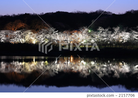 水源公園照明亮起 2157706