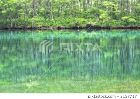 Kamikochi's fresh green 2157717