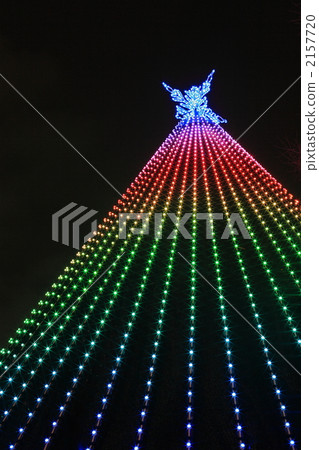 Christmas tree  2157720