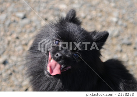 微笑很好 2158258