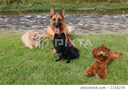 All members! 2158259