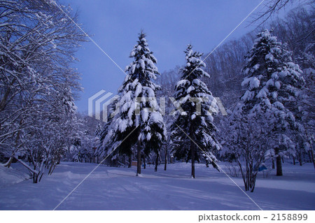 在Aschibezu瀑布附近拍攝 在Aschibezu瀑布附近拍攝 2158899