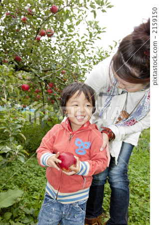 蘋果狩獵 2159150
