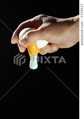 Egg factor 2159517
