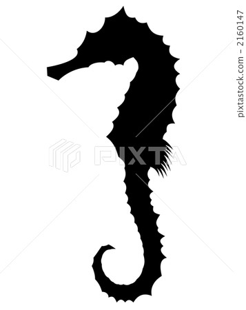 海馬(側影) 海馬(側影) 2160147