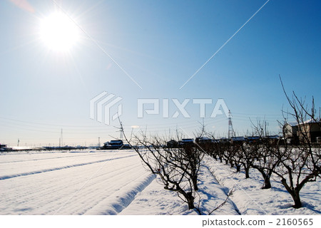 Winterscape 1 2160565