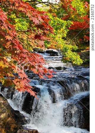 Autumn leaves of Miki Falls 2160752