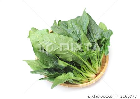 Cold Spinach Cold Spinach 2160773