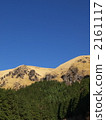 Aso 2161117