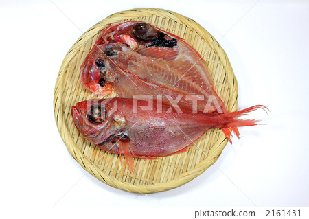 乾和服海鯛 乾和服海鯛 2161431