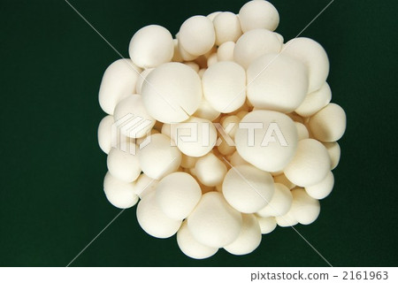 shimeji mushroom, brown beech mushroom, beech shimeji 2161963