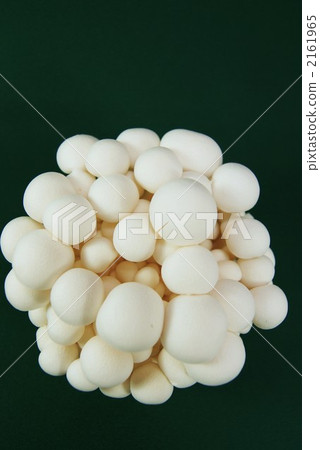 shimeji mushroom, brown beech mushroom, beech shimeji 2161965
