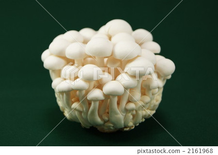 green background, shimeji mushroom, brown beech mushroom 2161968