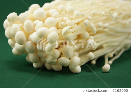 green background, japanese hackberry, axle 2162090