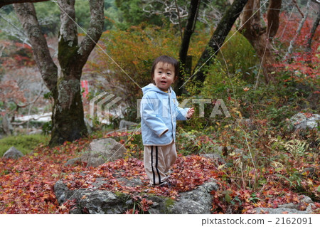 person, kid, younger 2162091