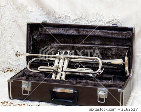Trumpet in the case (sideways) 2162527