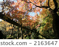 suspension bridge, shiomi suspension bridge, hananuki ravine 2163647