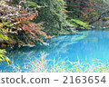 lagoon, swamp, mistic 2163654