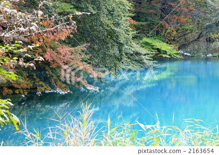 鹹水湖 沼澤 神秘 2163654