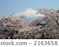 mountain fuji, mt fuji, mt.fuji 2163658