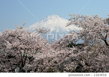 富士山 雪山 靜岡 2163658