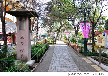 Flower's end · Winter's day 2164489