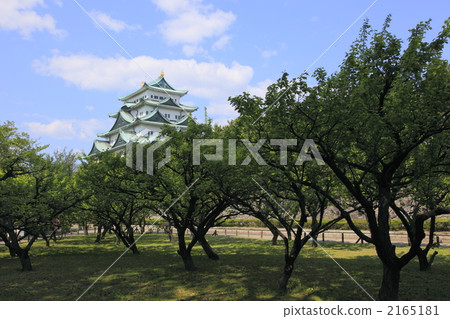 名古屋城堡 名古屋城堡 2165181