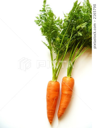 生葉人參 生葉人參 2165798