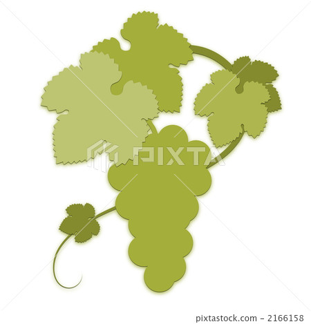 葡萄藤 葡萄 水果 2166158
