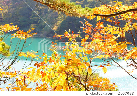 Five ginsenuma in autumn Five ginsenuma in autumn 2167058