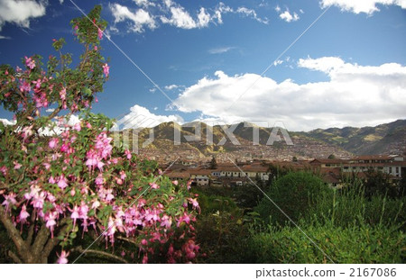 The center of Cuzco The sacred flower of the Inca which blooms in the sun's temple Cantuta The center of Cuzco The sacred flower of the Inca which blooms in the sun's temple Cantuta 2167086