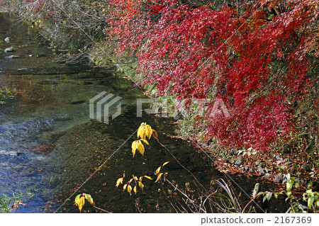 Ikeyama水源 Ikeyama水源 2167369