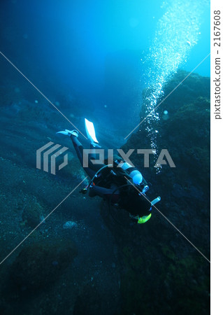in the sea, lifestyle, diver 2167608