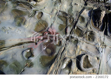 Nichinan coastal rocks 2168172