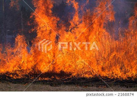 Mountain burning 2168874