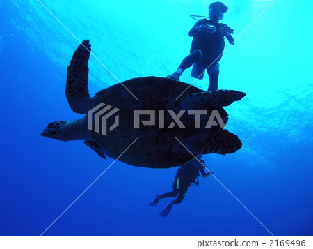 Timeri Timeri 2169496