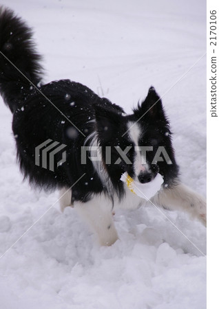 I love snow! I love snow! 2170106