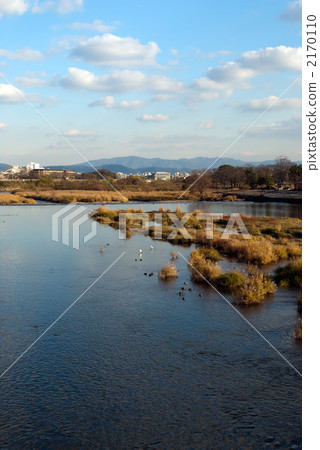 從Togetsukyo Bridge橋俯瞰Katsuragawa（Odagawa） 2170110