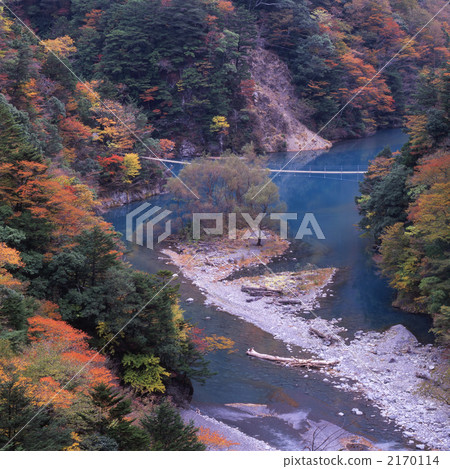 The autumn leaves of the dimple gorge 2170114